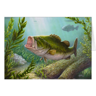 Bass Fish