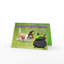 Basset "Bruja" con Frog & Cauldron con tarjeta de 