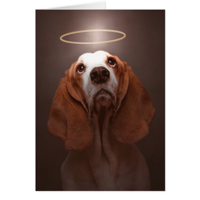 Basset Hound Angel (Frente)