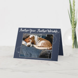 Basset Hound arrugado en tarjeta de cumpleaños