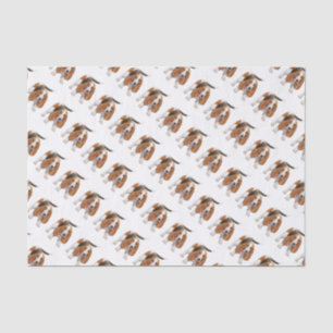 Basset Hound con el papel seda del bastón de
