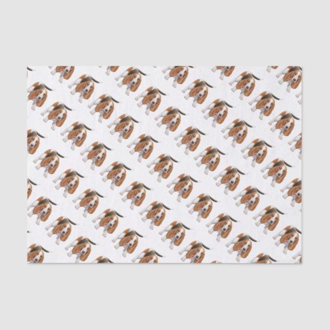 Basset Hound con el papel seda del bastón de (Anverso)