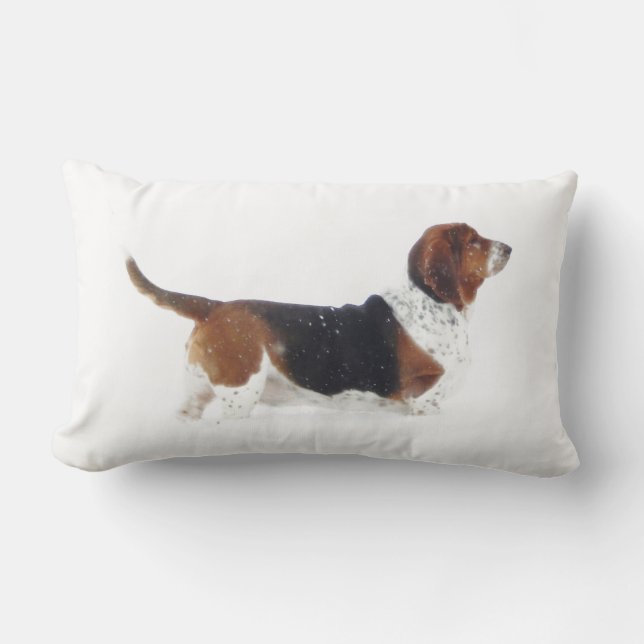 Basset Hound en la almohada lumbar (Anverso)
