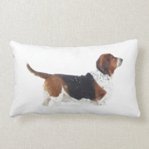 Basset Hound en la almohada lumbar