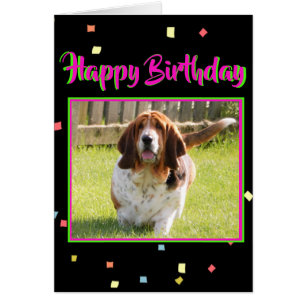 Basset Hound en la tarjeta de cumpleaños linda