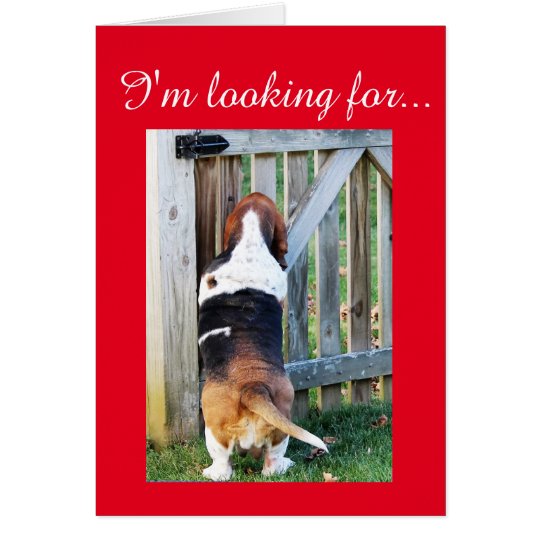 Basset Hound lindo que busca para una tarjeta del