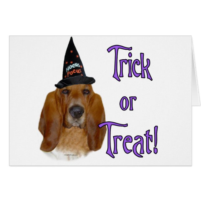 Basset Hound Trick (Anverso (Horizontal))