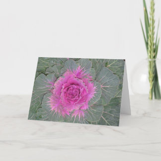 Basura decorativa, tarjeta doblada de Brassica Ole