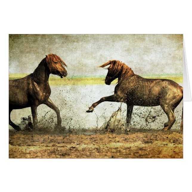 Batalla de Mustang (Anverso (Horizontal))