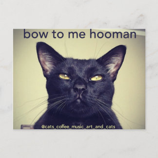 Batcat: Abrázame la postal de la mujer