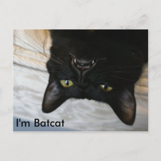 Batcat: Soy la tarjeta postal de Batcat