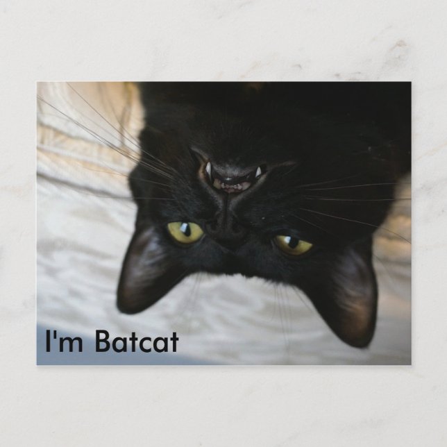 Batcat: Soy la tarjeta postal de Batcat (Anverso)