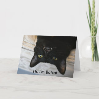 Batcat: Tarjeta de felicitación