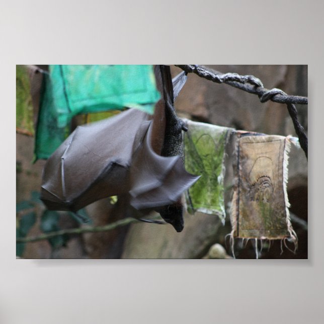 Batería (3) - poster / impresión (Frente)