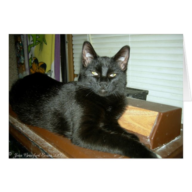 Batito imperial (Anverso (Horizontal))