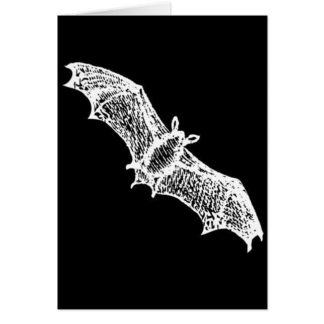 Bats (Frente)