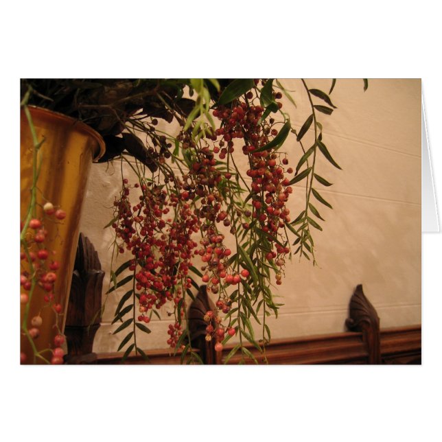 Bayas de la pimienta (Anverso (Horizontal))