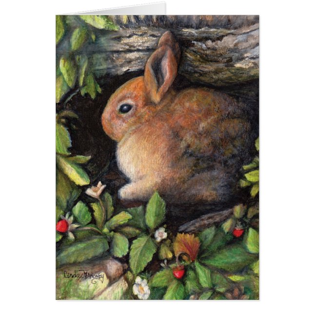 Bayas de n del conejito ' (Frente)