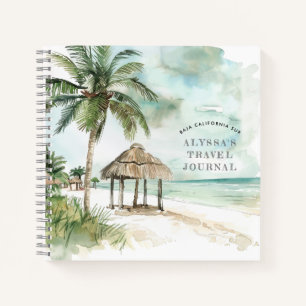 BCS   Diario de Viajes Palm Tree & Palapa Beach