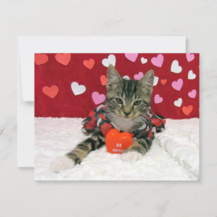 Be My Valentine - Bandit Cat / Kitten - Tarjeta pl