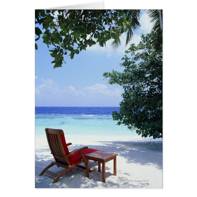 Beach Chair (Frente)