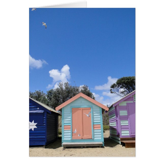 Beach Hut Seaguls (Frente)