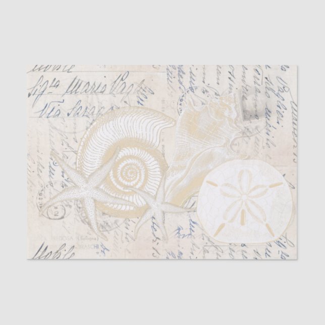 Beach Seashells Cream Papel De Tejido Italiano (Anverso)