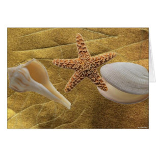 Beach - Shell marino - Tarjeta