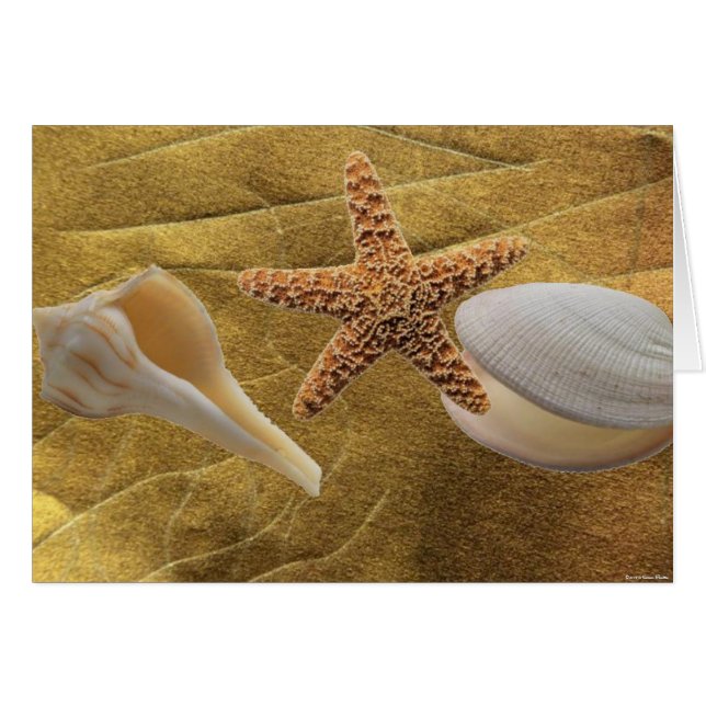 Beach - Shell marino - Tarjeta (Anverso (Horizontal))