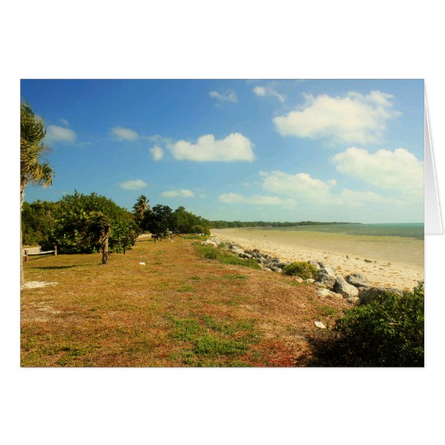 Beach View en el Parque Estatal Long Peak, Florida (Anverso (Horizontal))
