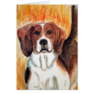 Beagle