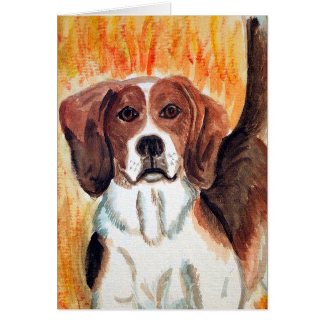 Beagle (Frente)