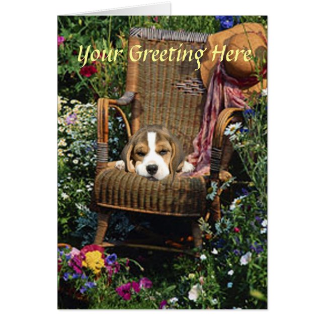 Beagle Card In Garden Chair (Frente)