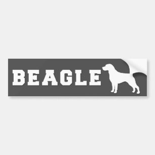 Beagle de la pegatina para el parachoques - gris