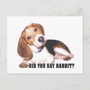 Beagle, ¿Dijiste Conejo? Postal