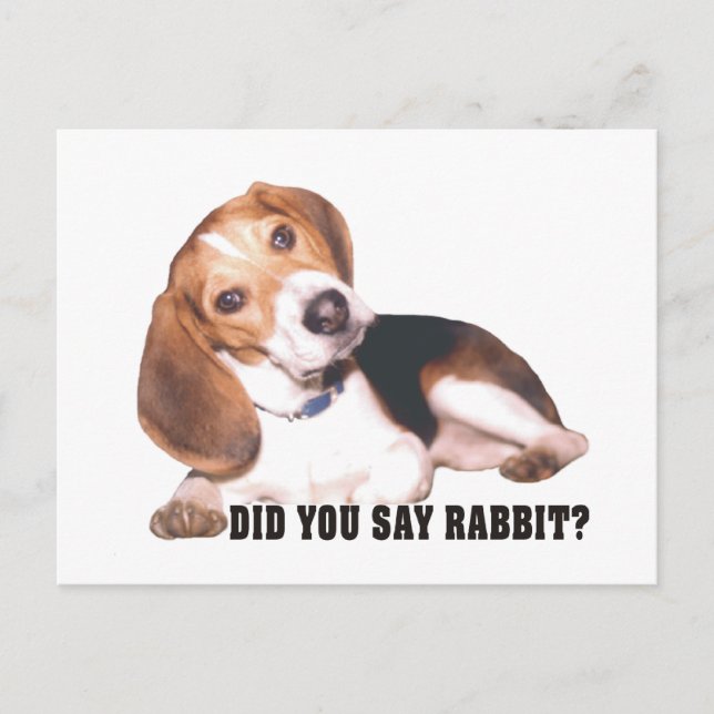 Beagle, ¿Dijiste Conejo? Postal (Anverso)