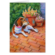 Beagle en Brick Patio