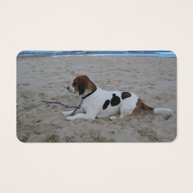Beagle en la playa.png (Frente)