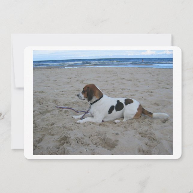 Beagle en la playa.png (Anverso)