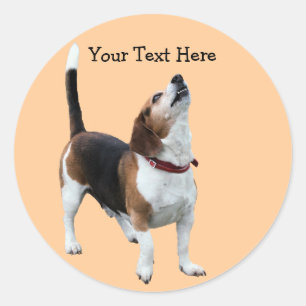 Beagle Howling Cute Dog Pegatina