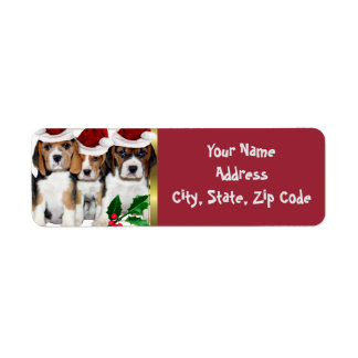 Beagle Navidades Abordan Etiquetas