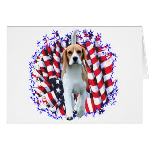 Beagle Patriot