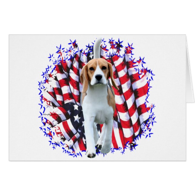 Beagle Patriot (Anverso (Horizontal))