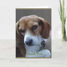 Beagle rescatada "Sunny" Tarjeta de agradecimiento