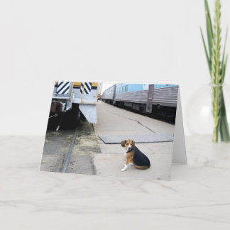 Beagle solo que espera un tren - tarjeta de