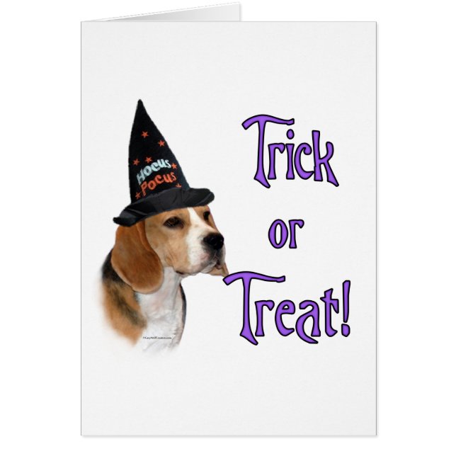 Beagle Trick (Frente)