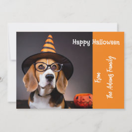 Beagle Viendo Gafas Ojos Y Testigos Tarjeta Llanta