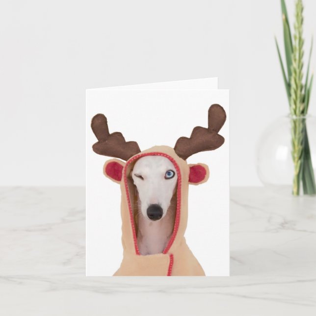 Beans Winking Reindeer tarjetas en blanco (Anverso)