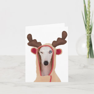 Beans Winking Reindeer tarjetas en blanco