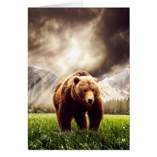 Bear de montaña (Frente)